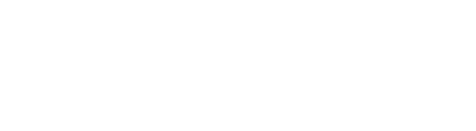 Qifi Technologies - Empowering Your Digital Journey